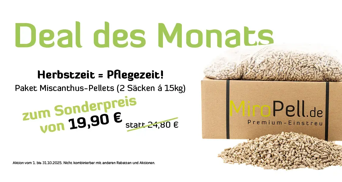 Deal des Monats